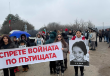 Протестът край село Телиш