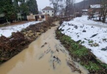 Проверка на реките в област Видин