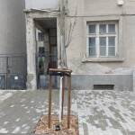 Вандали чупят новозасадени дръвчета в центъра на Бургас Вандали чупят новозасадени дръвчета в центъра на Бургас