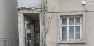 Вандали чупят новозасадени дръвчета в центъра на Бургас