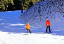 Ски курортите в Гърция отчитат засилен зимен туризъм след новия снеговалеж