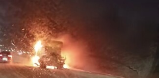 Снегорин горя в София