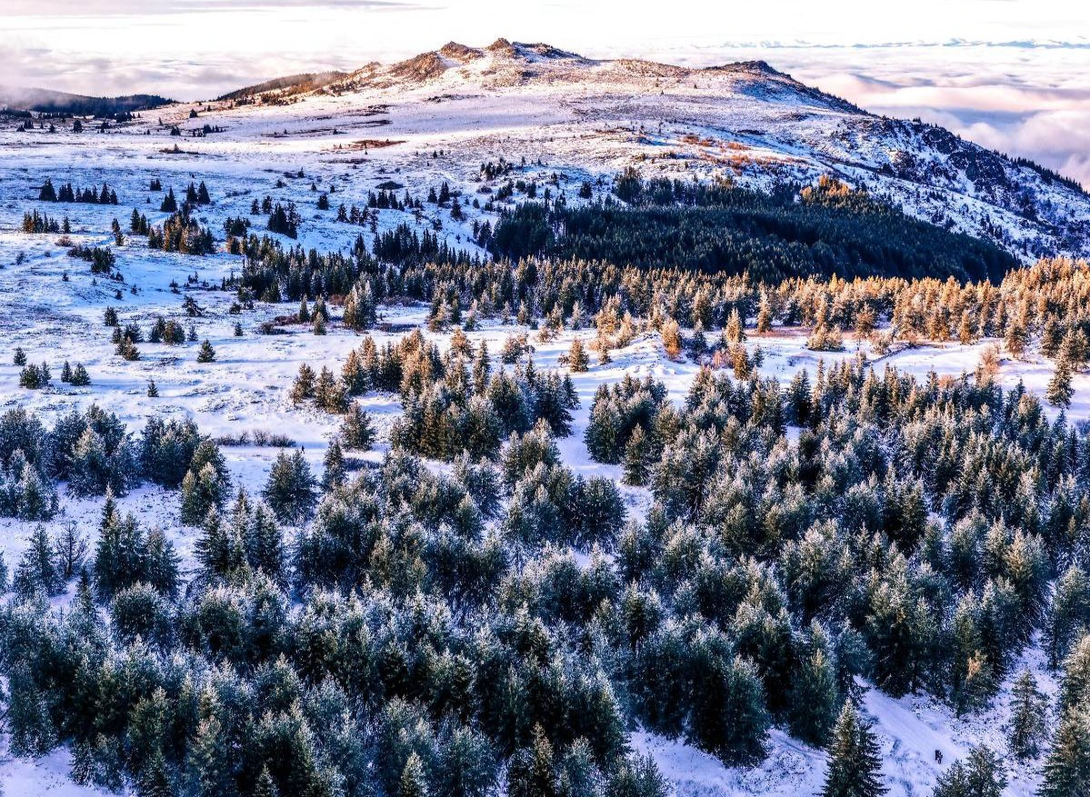 Столичната община е изпратила официалното си становище по актуализацията на