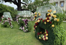 Зеленината в София