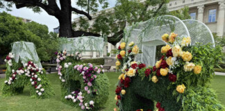 Зеленината в София