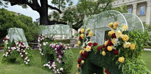 Зеленината в София