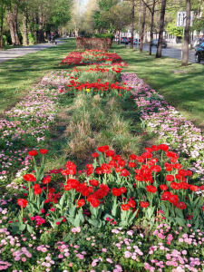 Зеленината в София