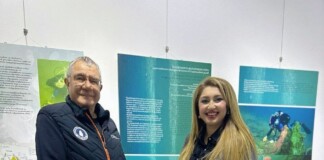 Знамето на Русе