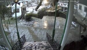 Дърво падна в манастир в Бургас