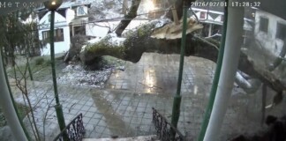 Дърво падна в манастир в Бургас