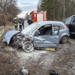 Катастрофата край Бистрица