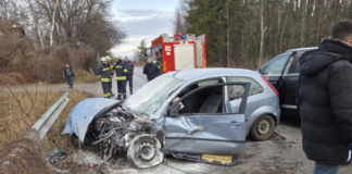 Катастрофата край Бистрица