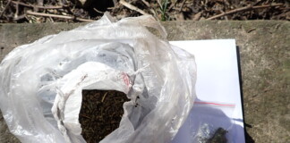 Наркотиците