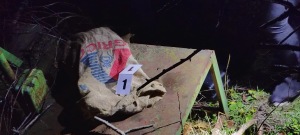 Трима айтозлии са в ареста след мащабна полицейска операция! 1 Наркотиците