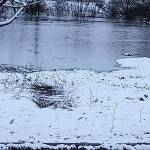 Наводнения в Гълъбово