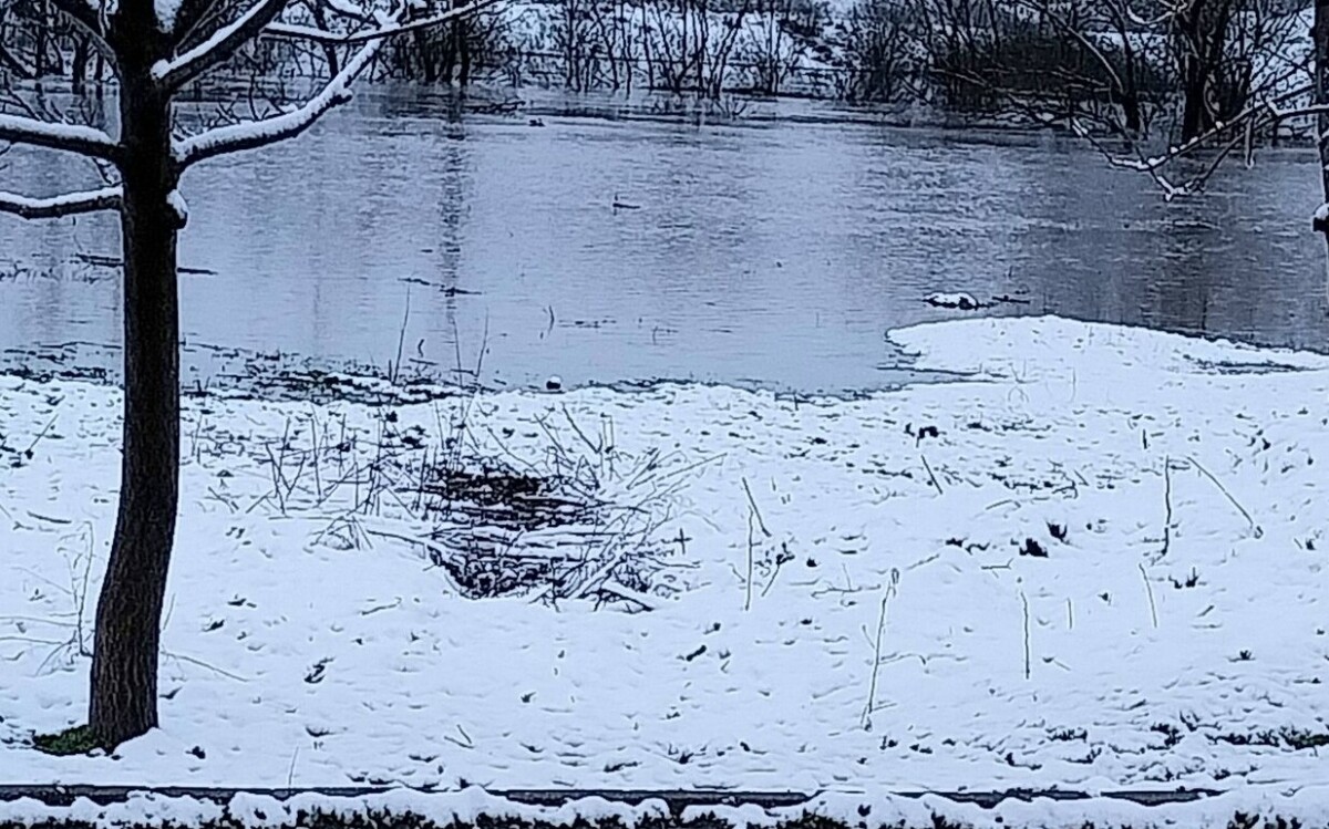 Няколко жилищни имота в централната част на гълъбовското село Обручище