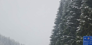 Пътят към Пампорово