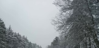 Пътища в област Бургас