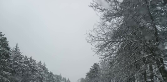 Пътища в област Бургас