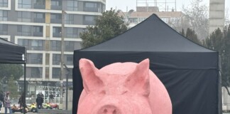 Прасето-касичка е в Бургас