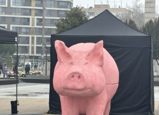 Прасето-касичка е в Бургас