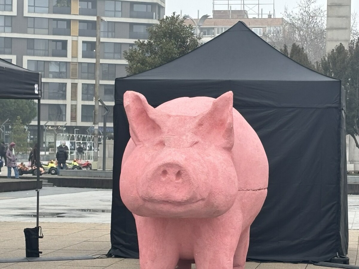 Скулптурата на прасето която стана символ на най големите протести