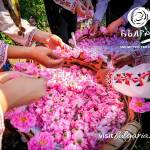 Розовата долина