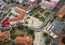 Трибагреникът