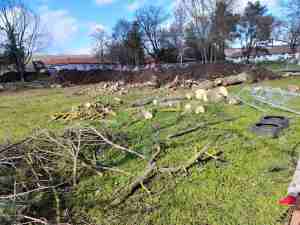 Сигнал до Искра.бг: В социалния дом в Русокастро се секат дървета. Законно ли е? 1 Изсечените дървета