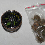 Намерена дрога във Видин