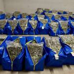 Наркотици, заловени при спецакция на ГДБОП и ДАНС