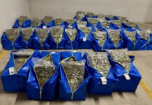 Спецакция на ГДБОП и ДАНС: Иззети са близо 250 кг различни наркотици в София Наркотици, заловени при спецакция на ГДБОП и ДАНС