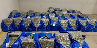 Наркотици, заловени при спецакция на ГДБОП и ДАНС