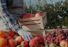 Храната не е отпадък: Европейците изхвърлят по 130 кг храна на човек всяка година Производител на храна