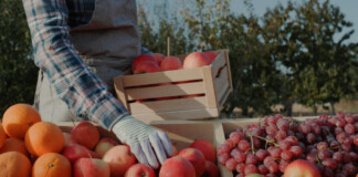 Производител на храна