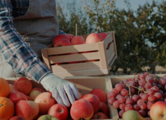 Производител на храна