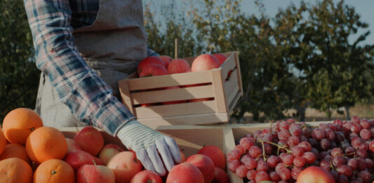 Производител на храна