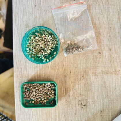 ОДМВР-Бургас с акция. Снимка: ОДМВР-Бургас