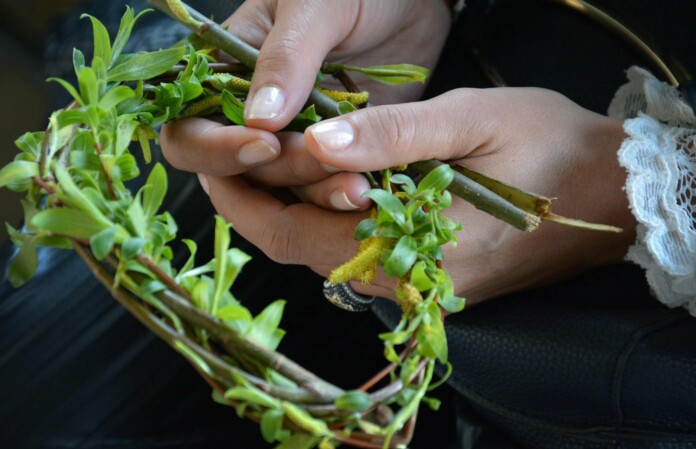 Върбов венец