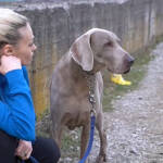 Жената и кучето й