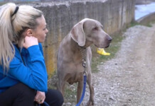 Жената и кучето й