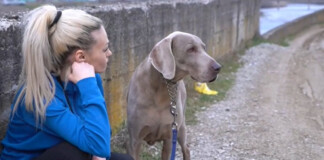 Жената и кучето й