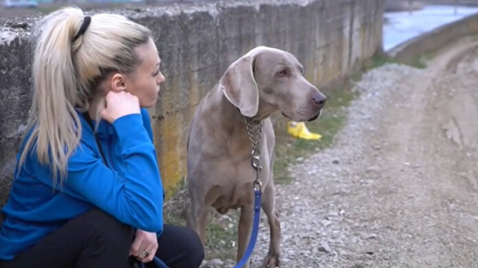 Жената и кучето й