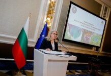 Ирена Георгиева