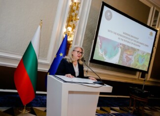 Ирена Георгиева