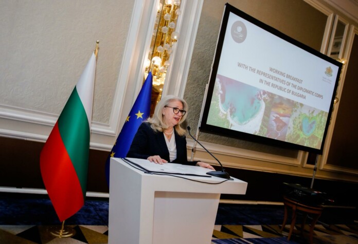 Ирена Георгиева