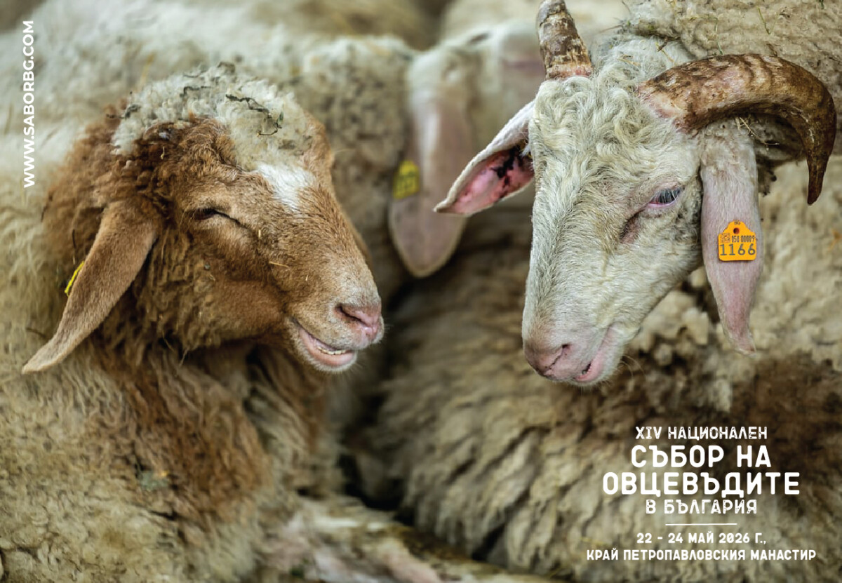 Националният събор на овцевъдите в България ще се проведе от