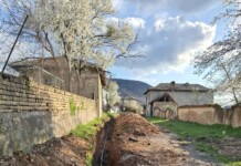 Дейностите