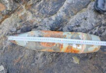 Военни обезвредиха плаващ дрон край Синеморец (СНИМКИ) Дрон