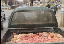 БАБХ разкри незаконен превоз на животински вътрешности след сигнал от социалните мрежи
